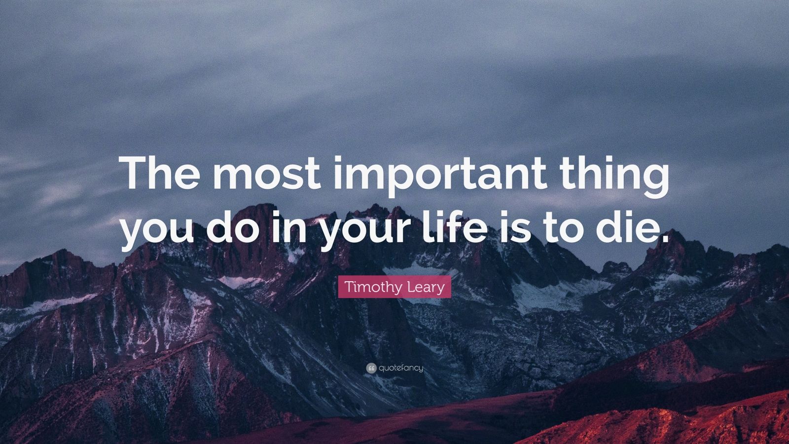 Timothy Leary Quote: “The most important thing you do in your life is ...