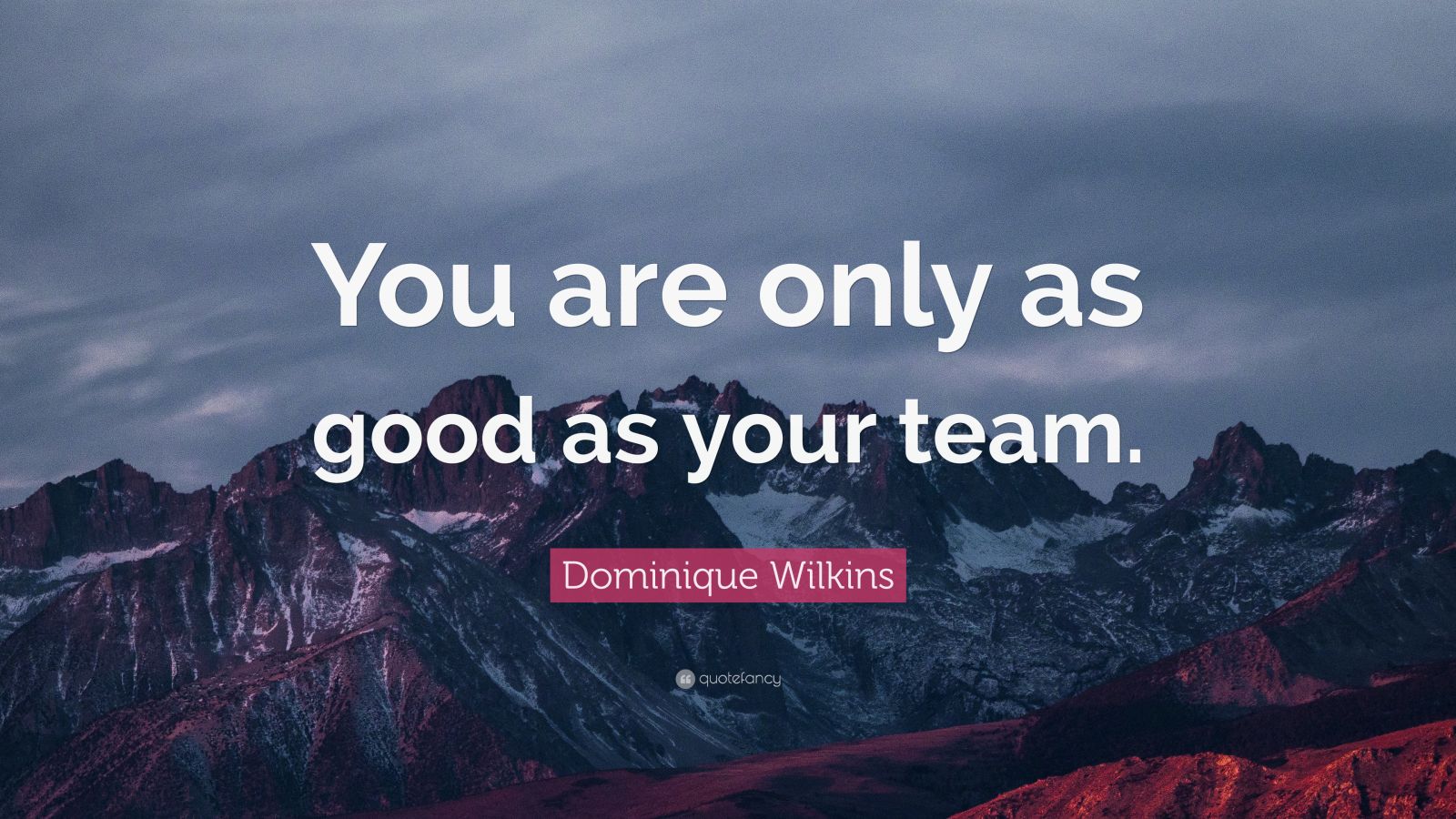 Dominique Wilkins Quote: “You are only as good as your team.” (10 ...