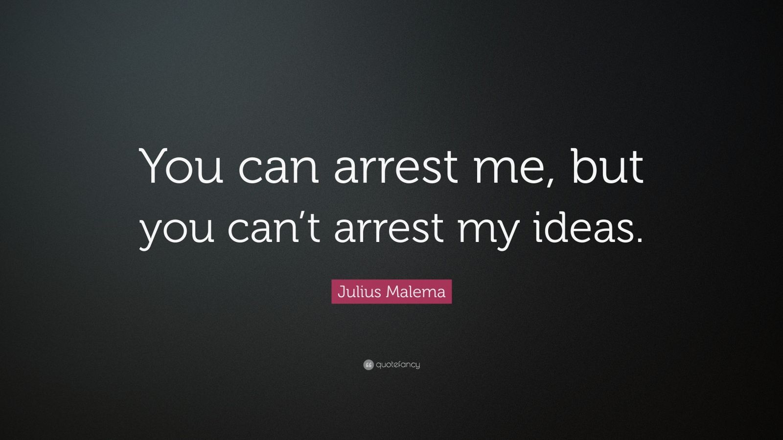 Julius Malema Quote: “You can arrest me, but you can’t arrest my ideas ...