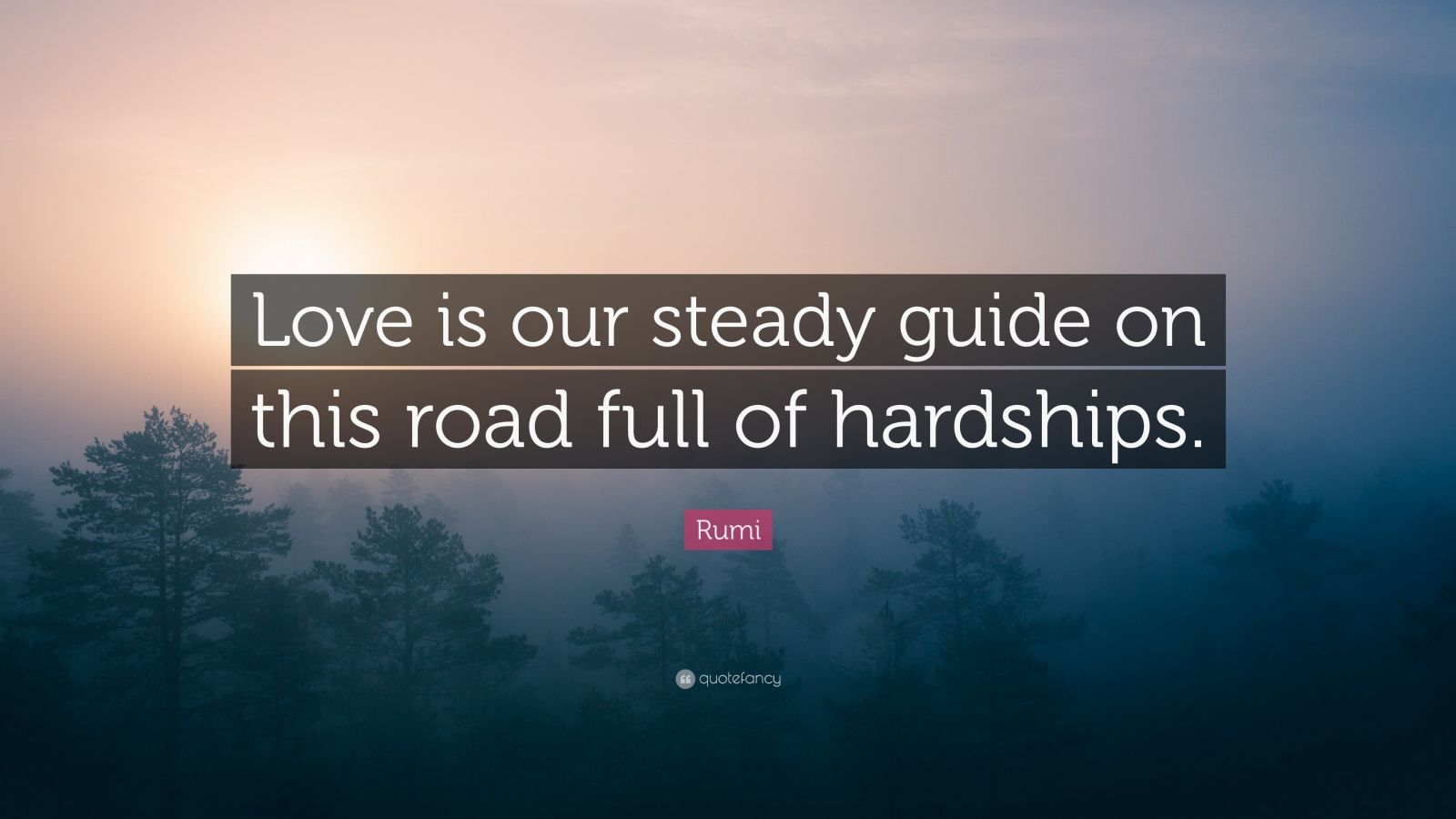Rumi Quote: "Love is our steady guide on this road full of hardships." (10 wallpapers) - Quotefancy