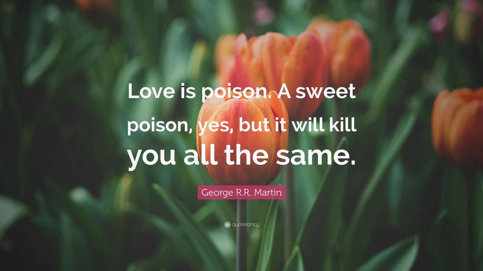 George . Martin Quote: “Love is poison. A sweet poison, yes, but it will  kill you all the same.”