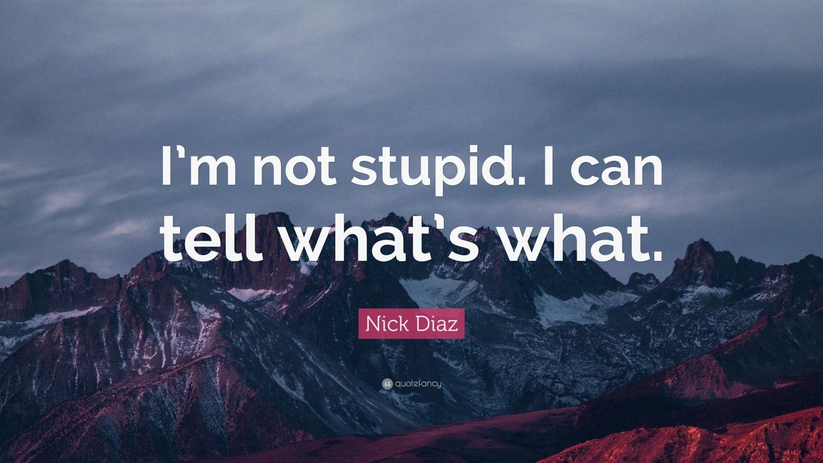 nick-diaz-quote-i-m-not-stupid-i-can-tell-what-s-what-7-wallpapers-quotefancy