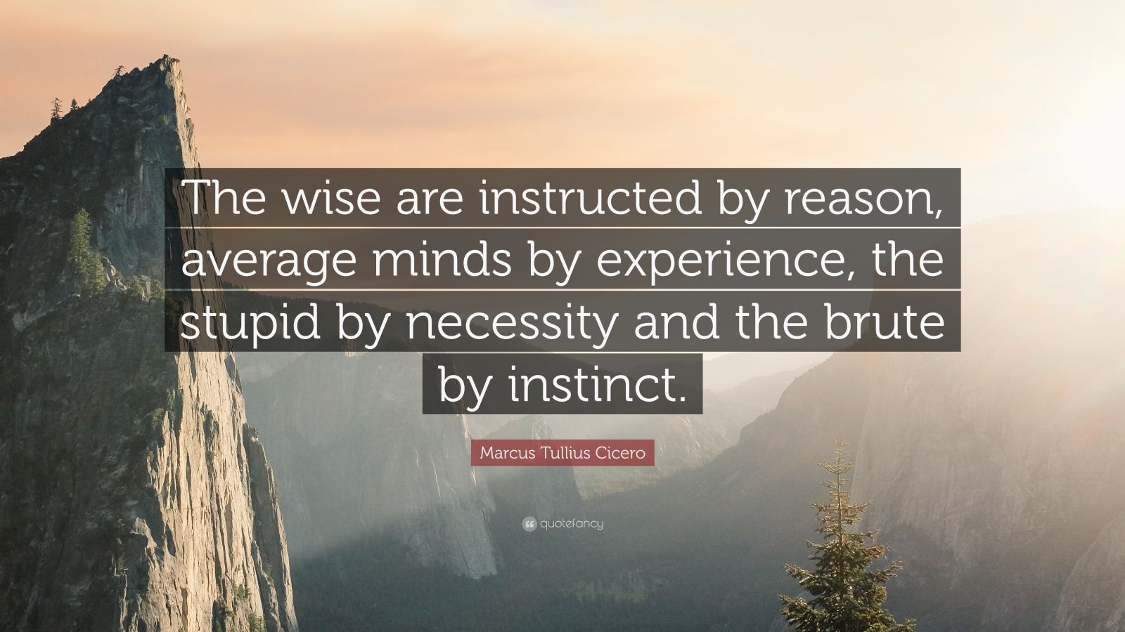 Marcus Tullius Cicero Quote: “The wise are instructed by reason ...