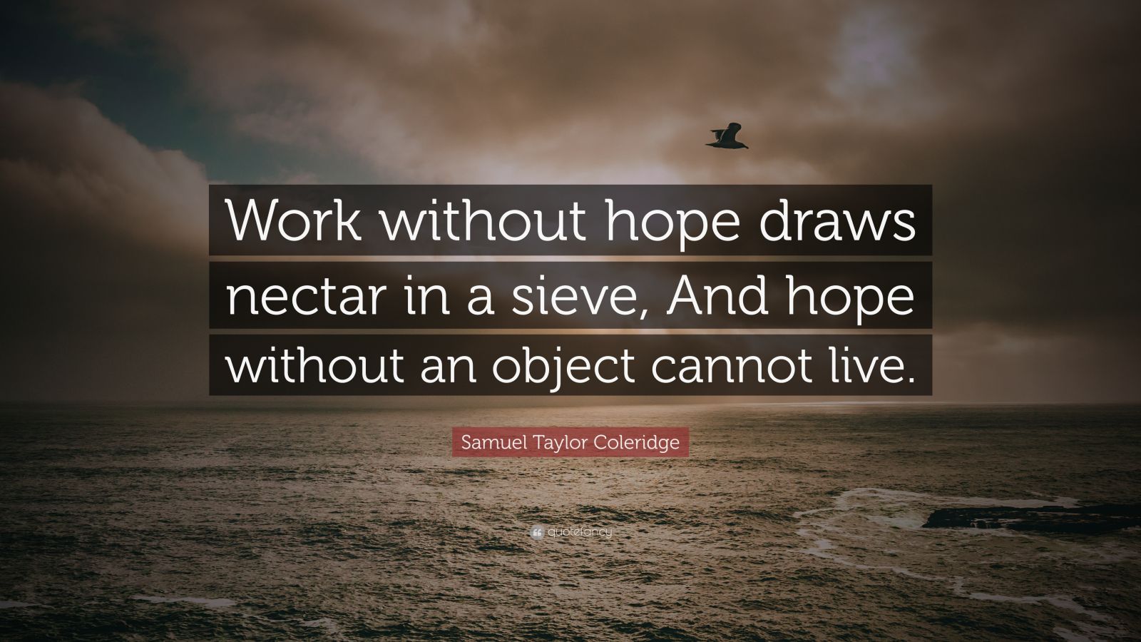 Samuel Taylor Coleridge Quote: “Work without hope draws nectar in a sieve, And hope ...1600 x 900