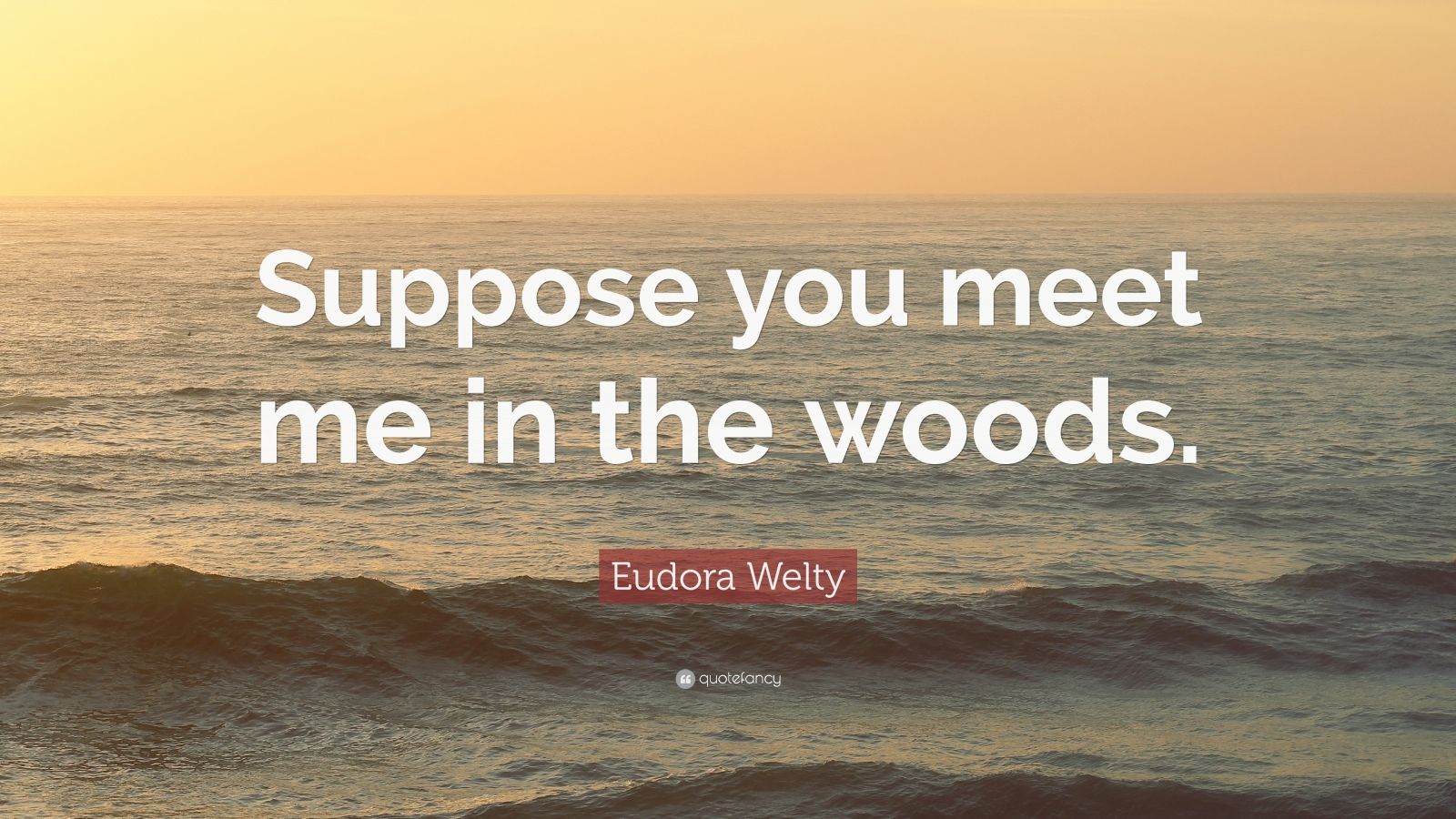 eudora welty quote