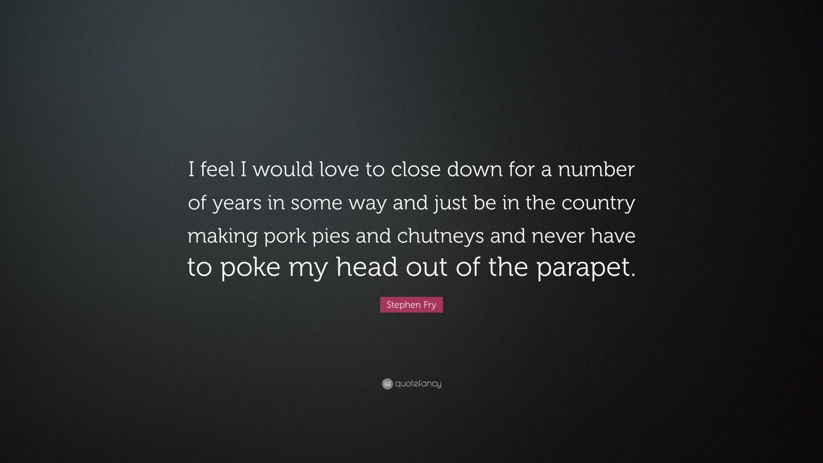 Stephen Fry Quote: “I feel I would love to close down for a number of
years in some way and just