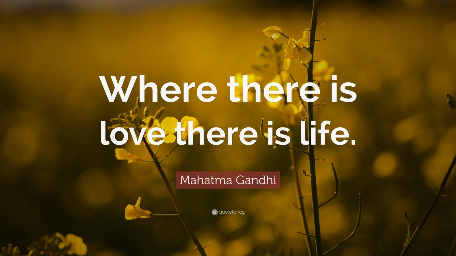 Mahatma Gandhi Quote: “Where there is love there is life.” (21