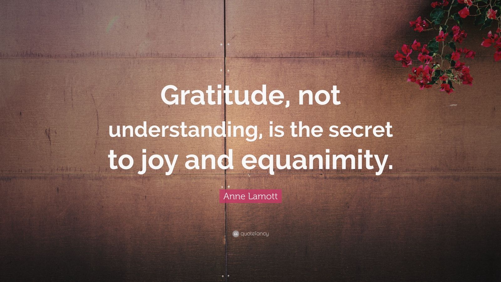 Anne Lamott Quote: “Gratitude, not understanding, is the secret to joy ...