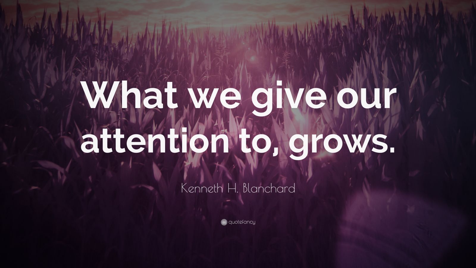 Kenneth H. Blanchard Quote: “What We Give Our Attention To, Grows.” (7 ...