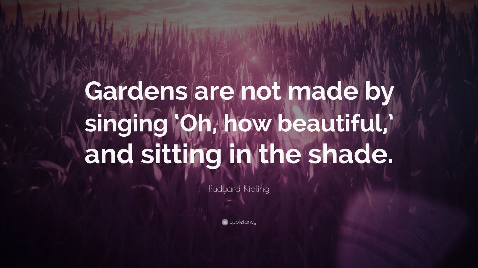 Gardens are not made by sitting in the shade essay 06 image