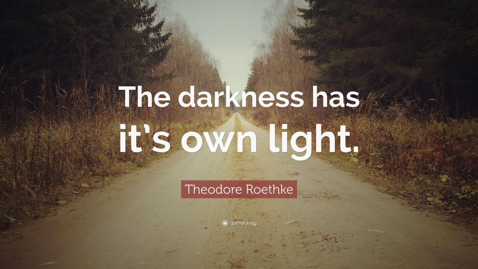 Theodore Roethke Quote: “the Darkness Has It’s Own Light.” (10 