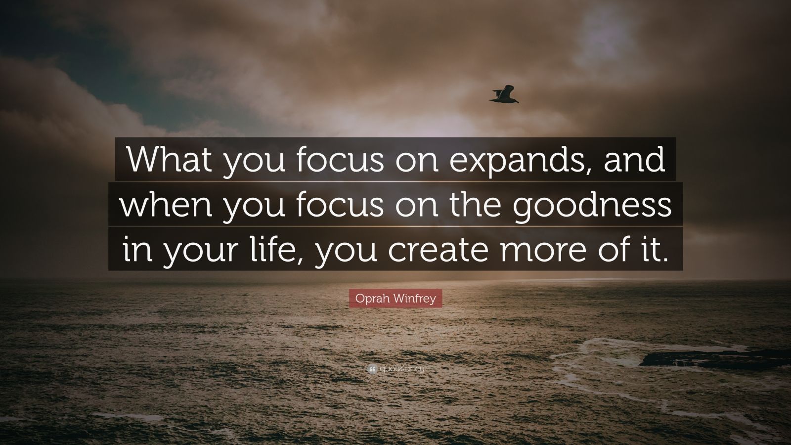 Oprah Winfrey Quote: “What you focus on expands, and when you focus on ...