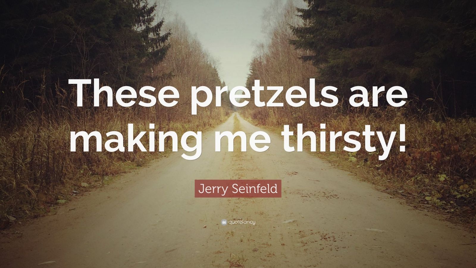 Jerry Seinfeld Quote These Pretzels Are Making Me Thirsty” 12