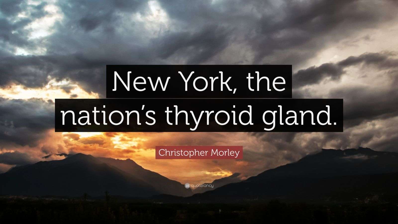Christopher Morley Quote “New York, the nation’s thyroid gland.” (6