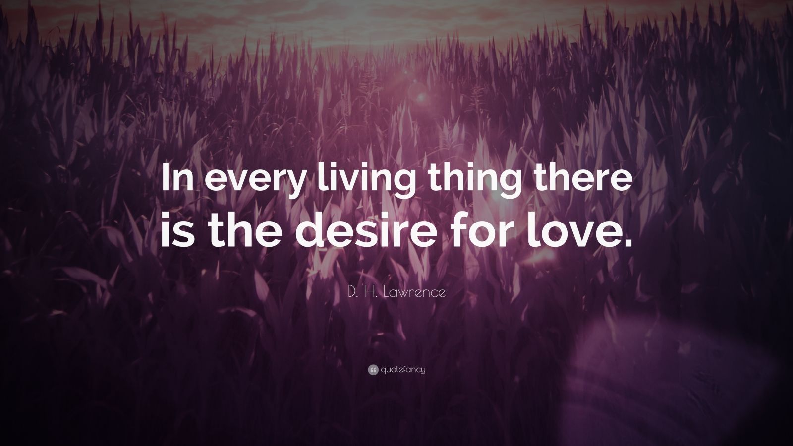 D. H. Lawrence Quote: “In every living thing there is the desire for ...