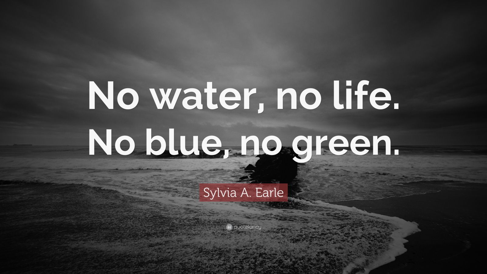 Sylvia A. Earle Quote “No water, no life. No blue, no green.” (7 wallpapers) Quotefancy