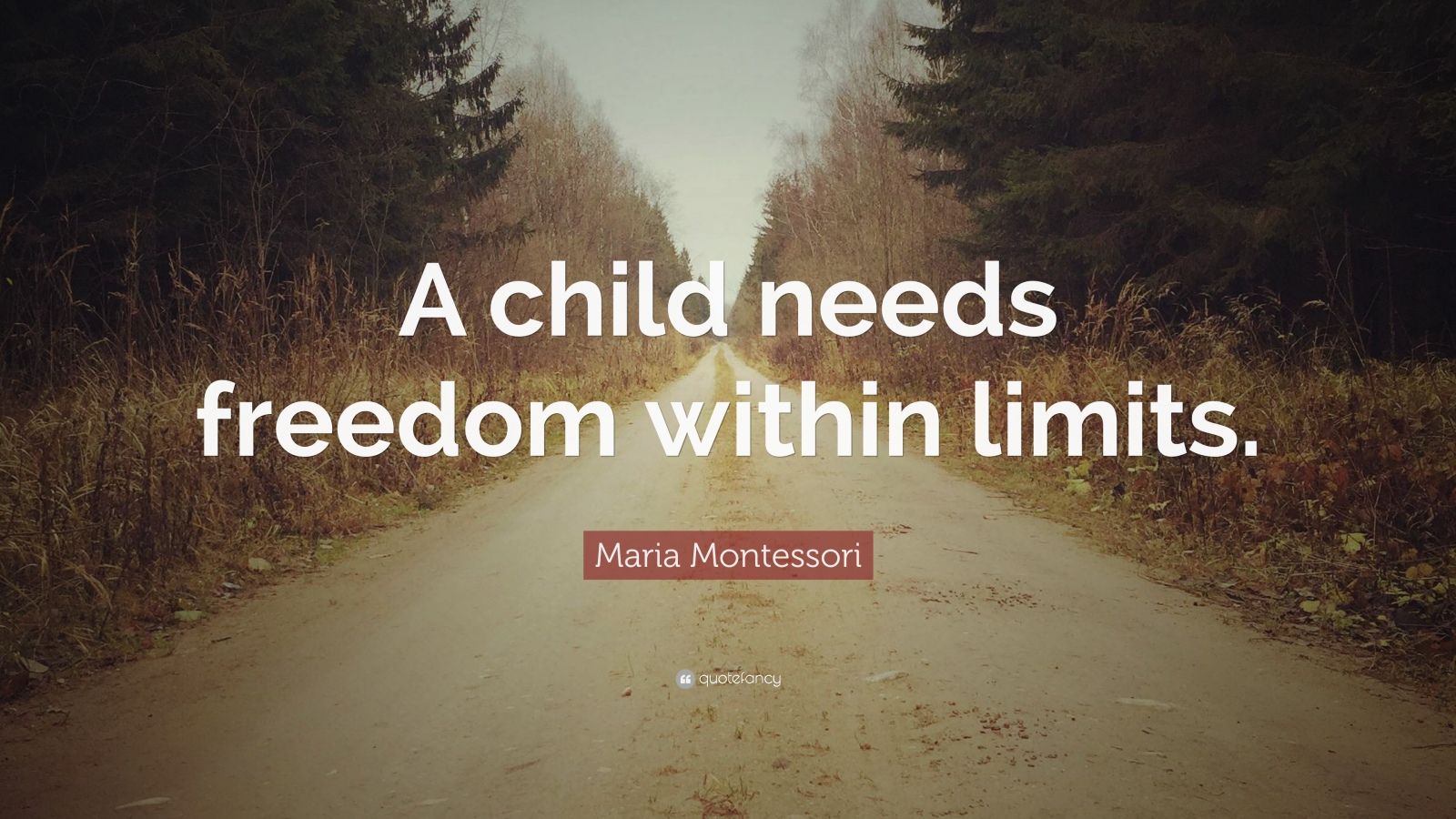 Maria Montessori Quote: “A child needs freedom within limits.” (12