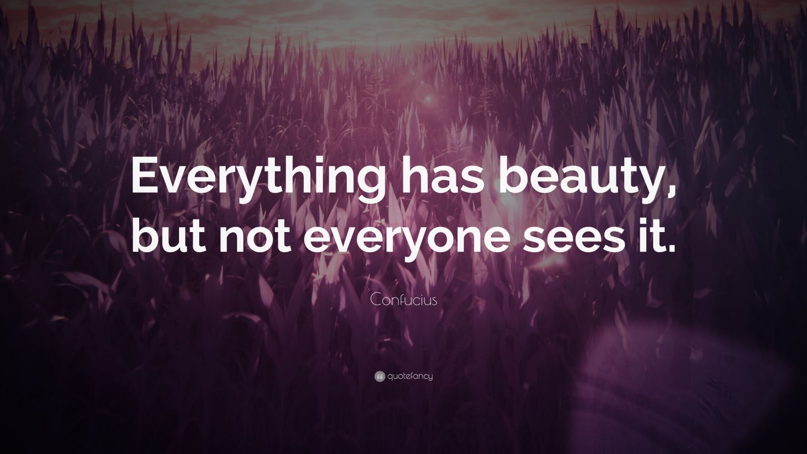 Confucius Quote: “Everything has beauty, but not everyone sees it.” (26 ...
