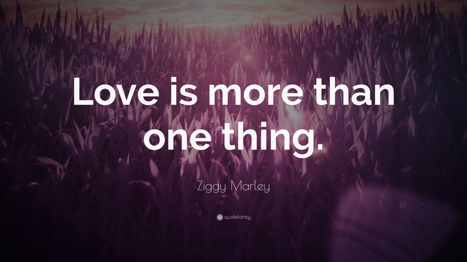 Ziggy Marley Quote “love Is More Than One Thing” 7025