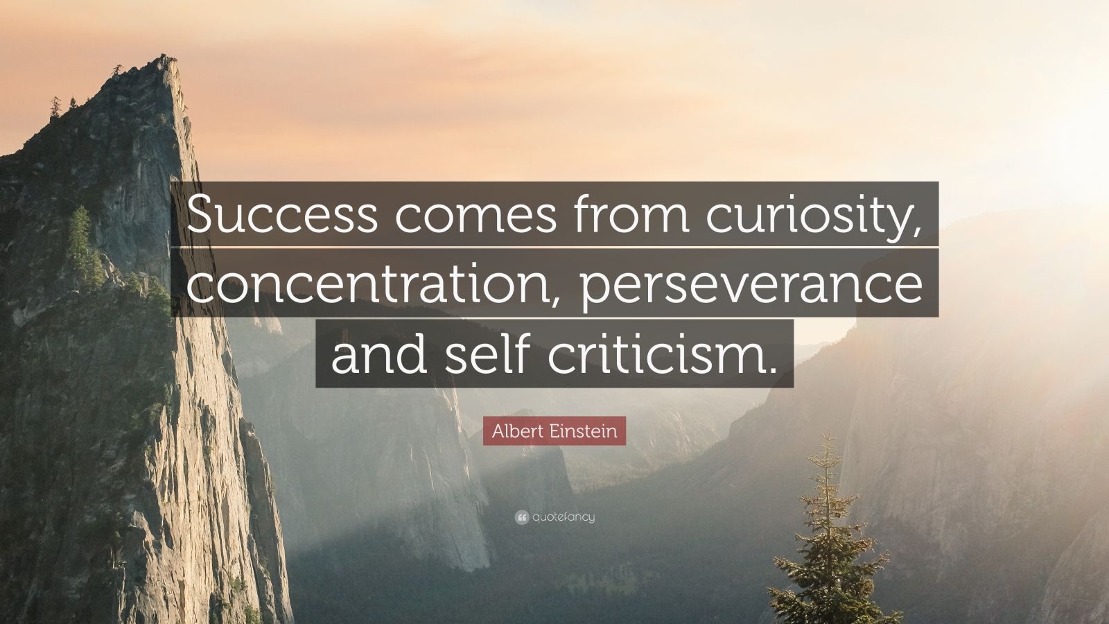 Albert Einstein Quote: “Success comes from curiosity, concentration