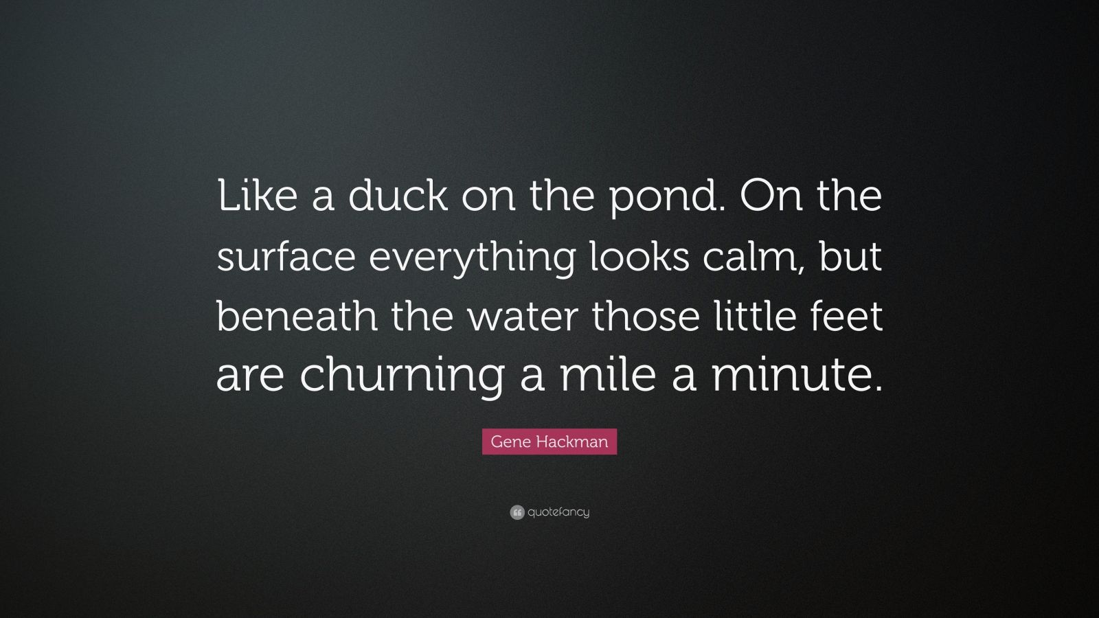 Gene Hackman Quote: “Like a duck on the pond. On the surface everything ...