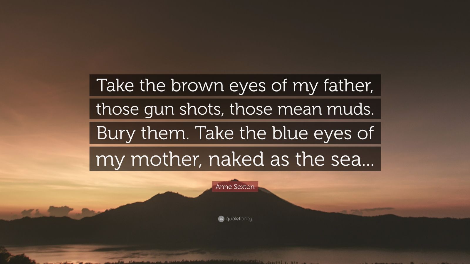 Anne Sexton Quote: “Take the brown eyes of my father, those gun shots,  those mean muds. Bury them. Take the blue eyes of my mother, naked as...”