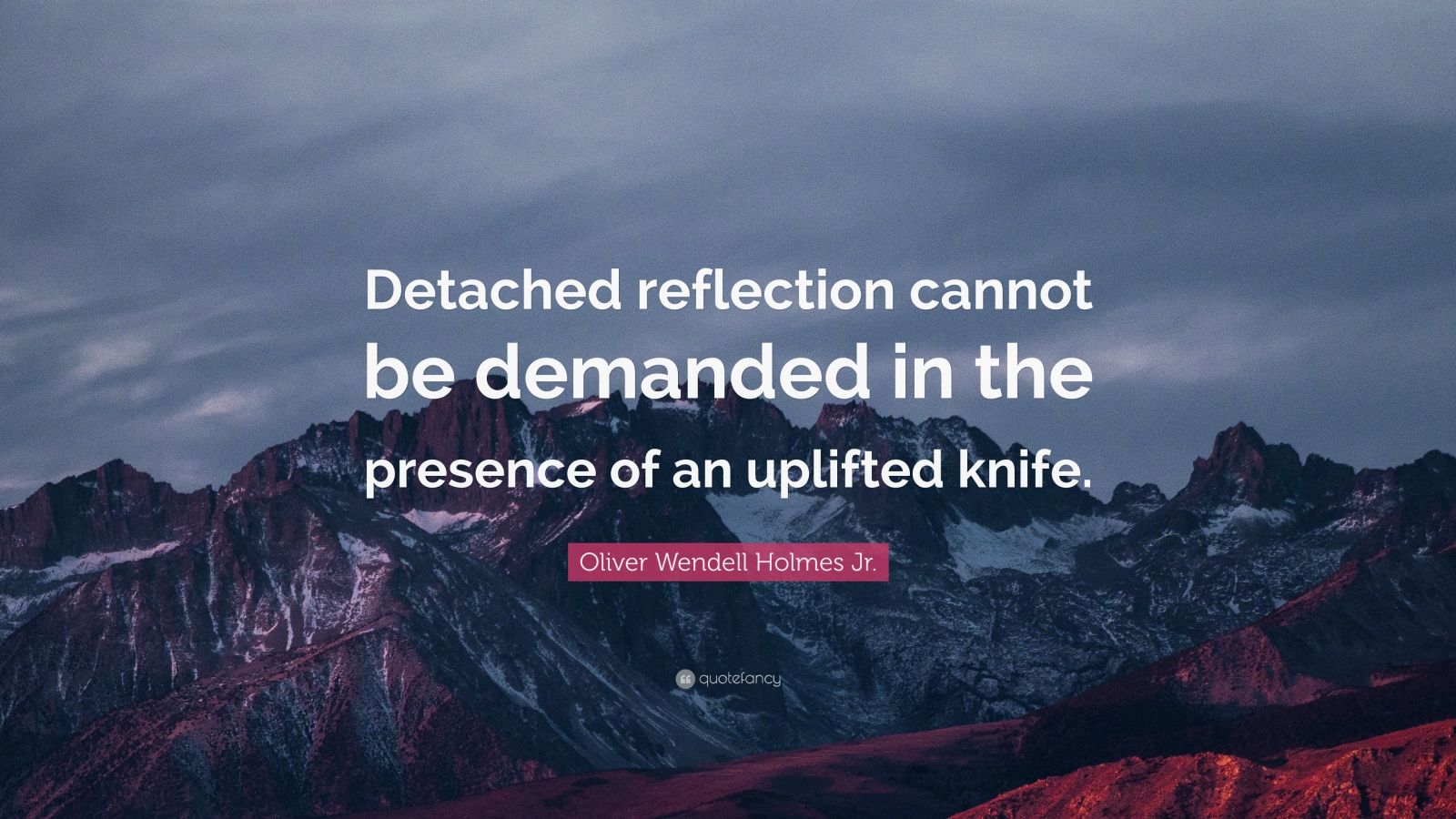 Oliver Wendell Holmes Jr. Quote: “Detached Reflection Cannot Be ...