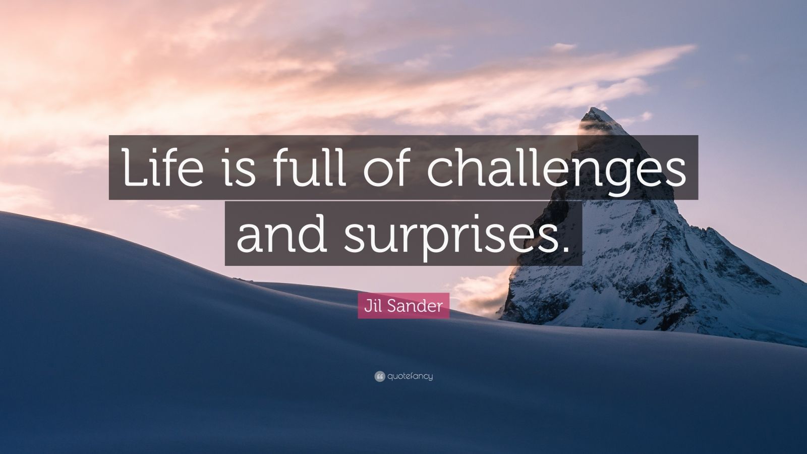 Jil Sander Quote “Life is full of challenges and surprises.” (7