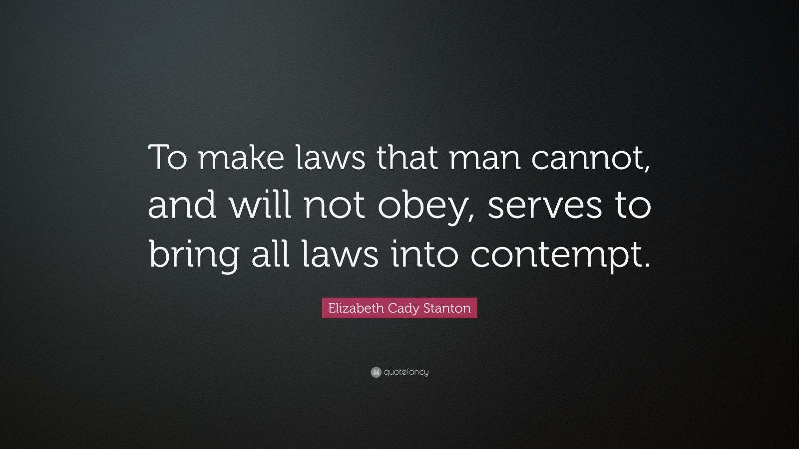 Elizabeth Cady Stanton Quote: “To make laws that man cannot, and will ...