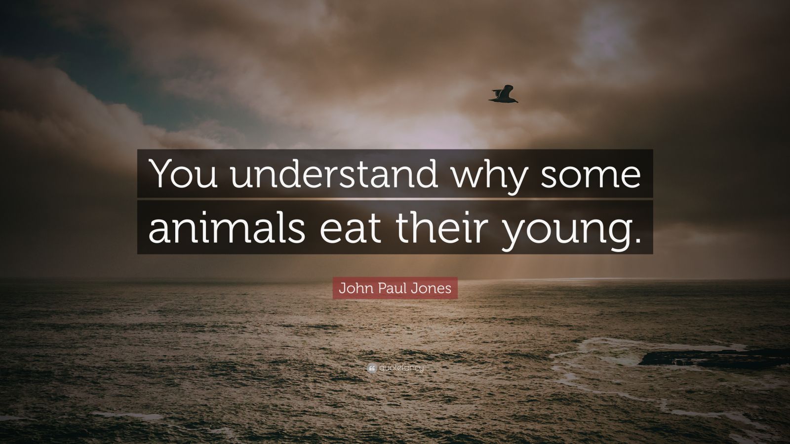 Why Some Animals Eat Their Young by Dallas Louis