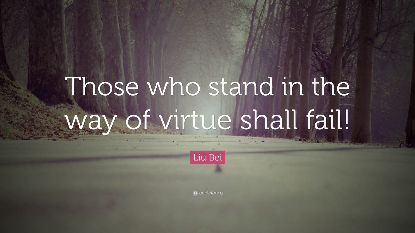 Liu Bei Quote “Those who stand in the way of virtue shall fail!”