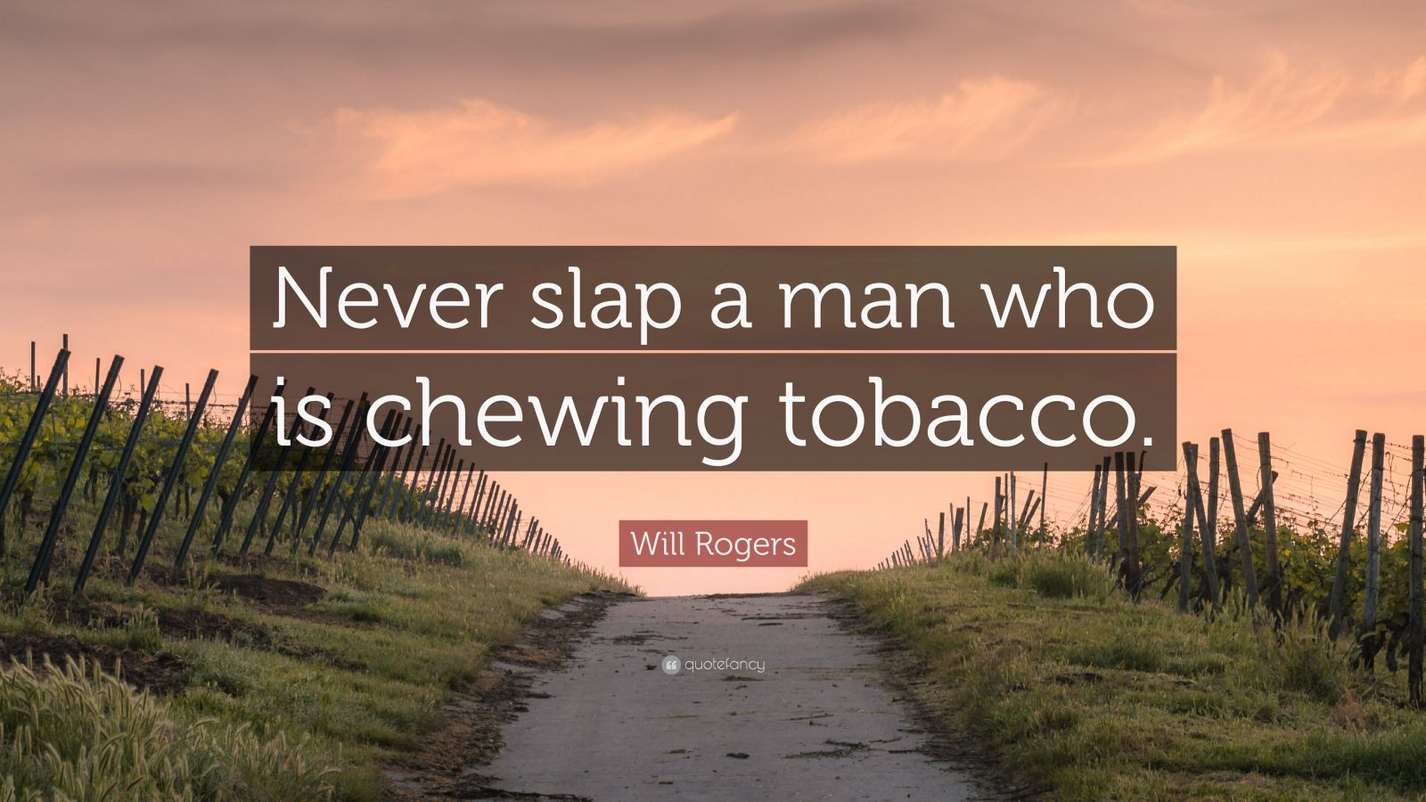 never slap a man while he's chewing tobacco Will Rogers Quote: “Never slap a man who is chewing tobacco.”