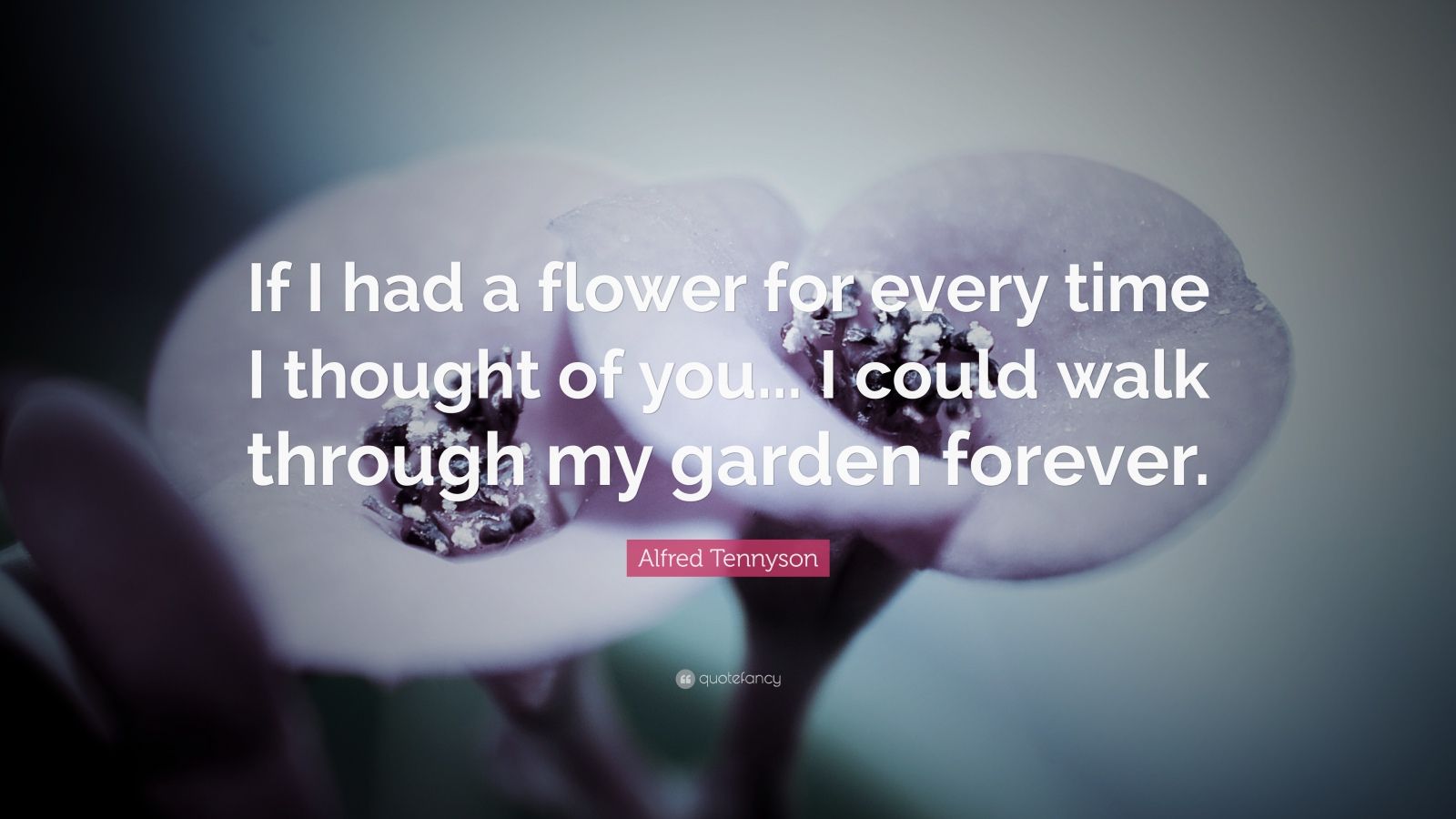 Alfred Tennyson Quote: “If I had a flower for every time I thought of ...