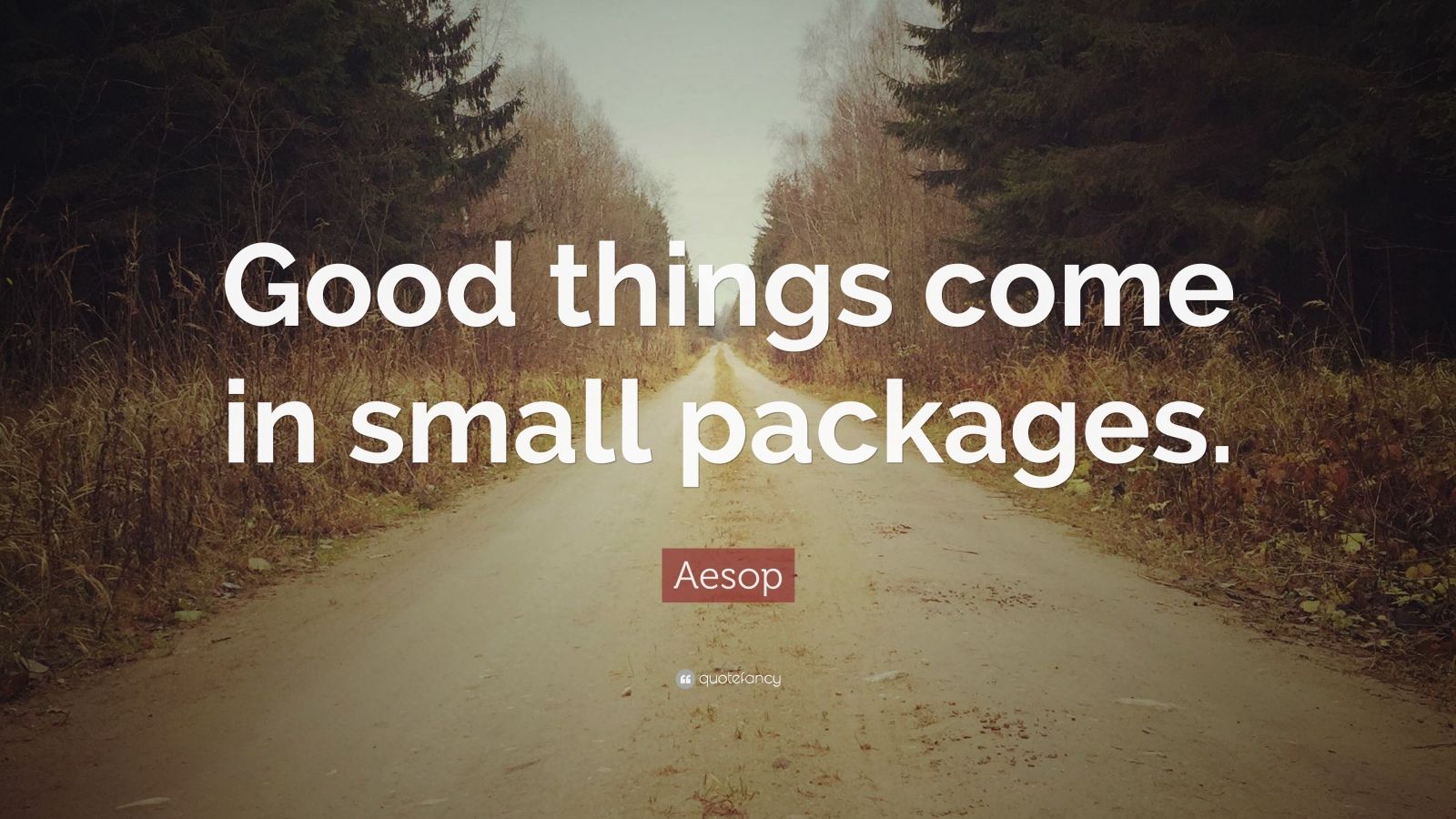 Aesop Quote: “Good things come in small packages.” (12 wallpapers