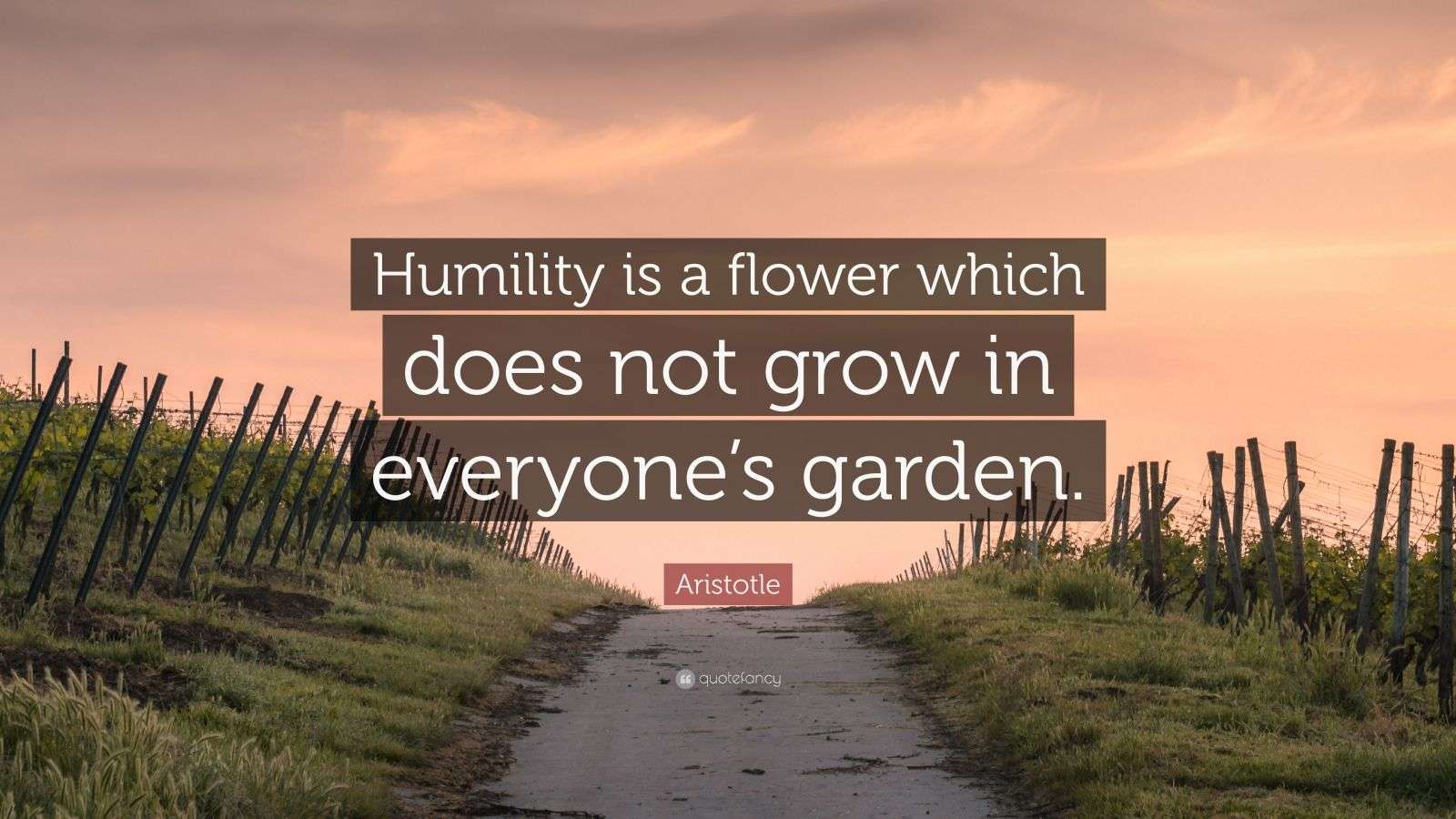 Aristotle Quote “Humility is a flower which does not grow in everyone’s garden.” (7 wallpapers