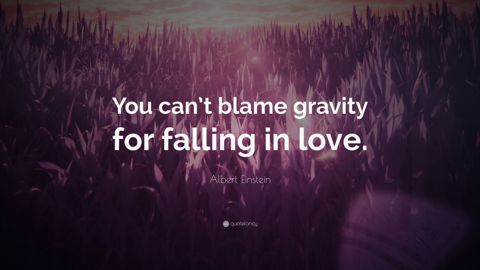 Albert Einstein Quote: “You can’t blame gravity for falling in love ...