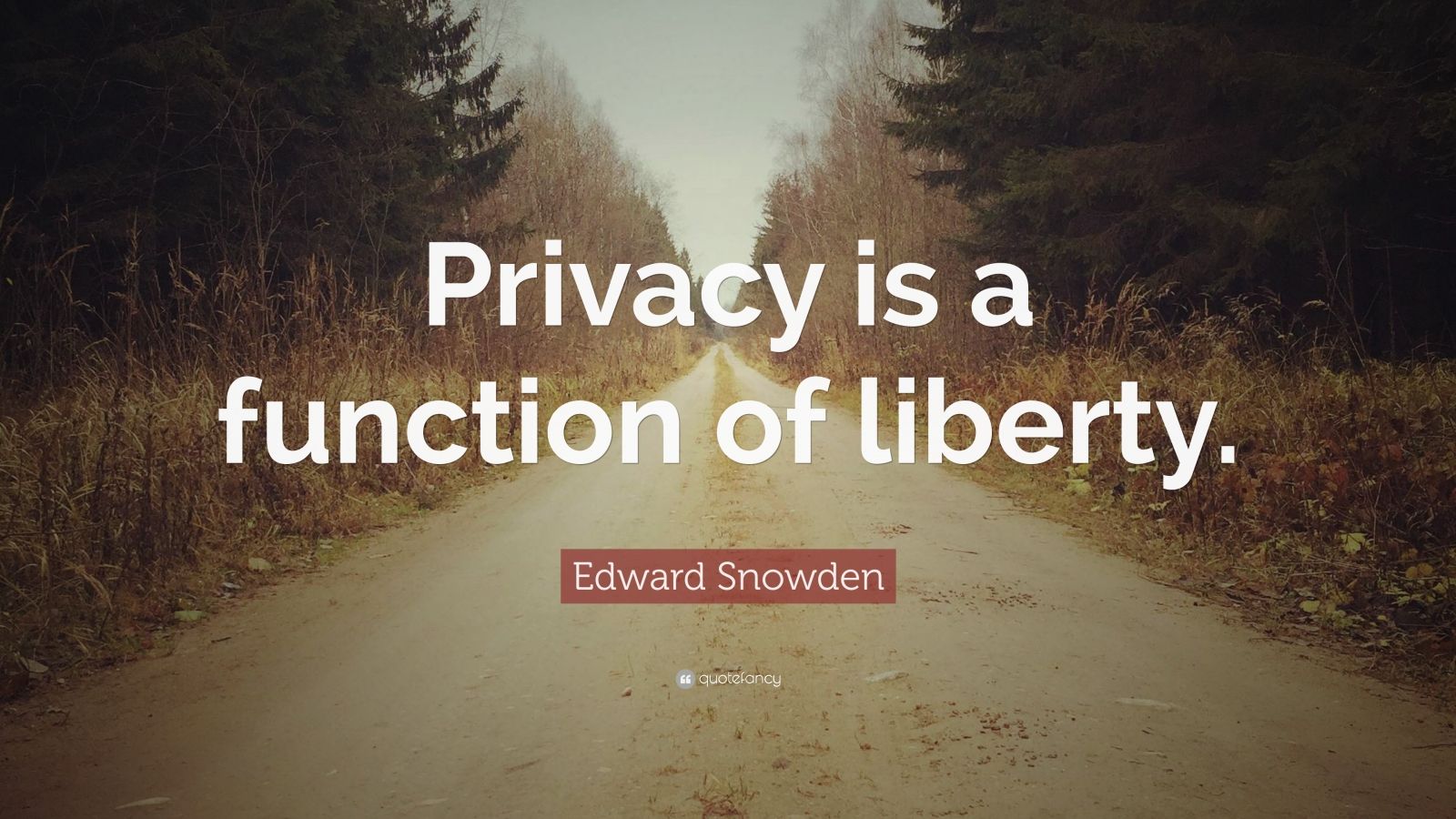 Edward Snowden Quote: “Privacy Is A Function Of Liberty.”