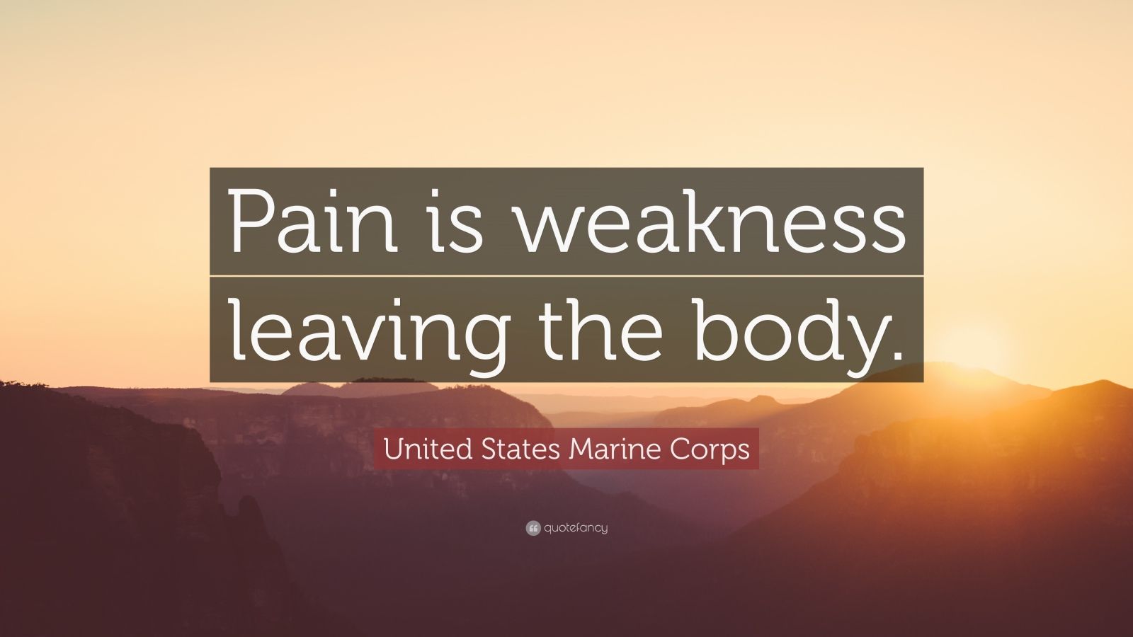 united-states-marine-corps-quote-pain-is-weakness-leaving-the-body