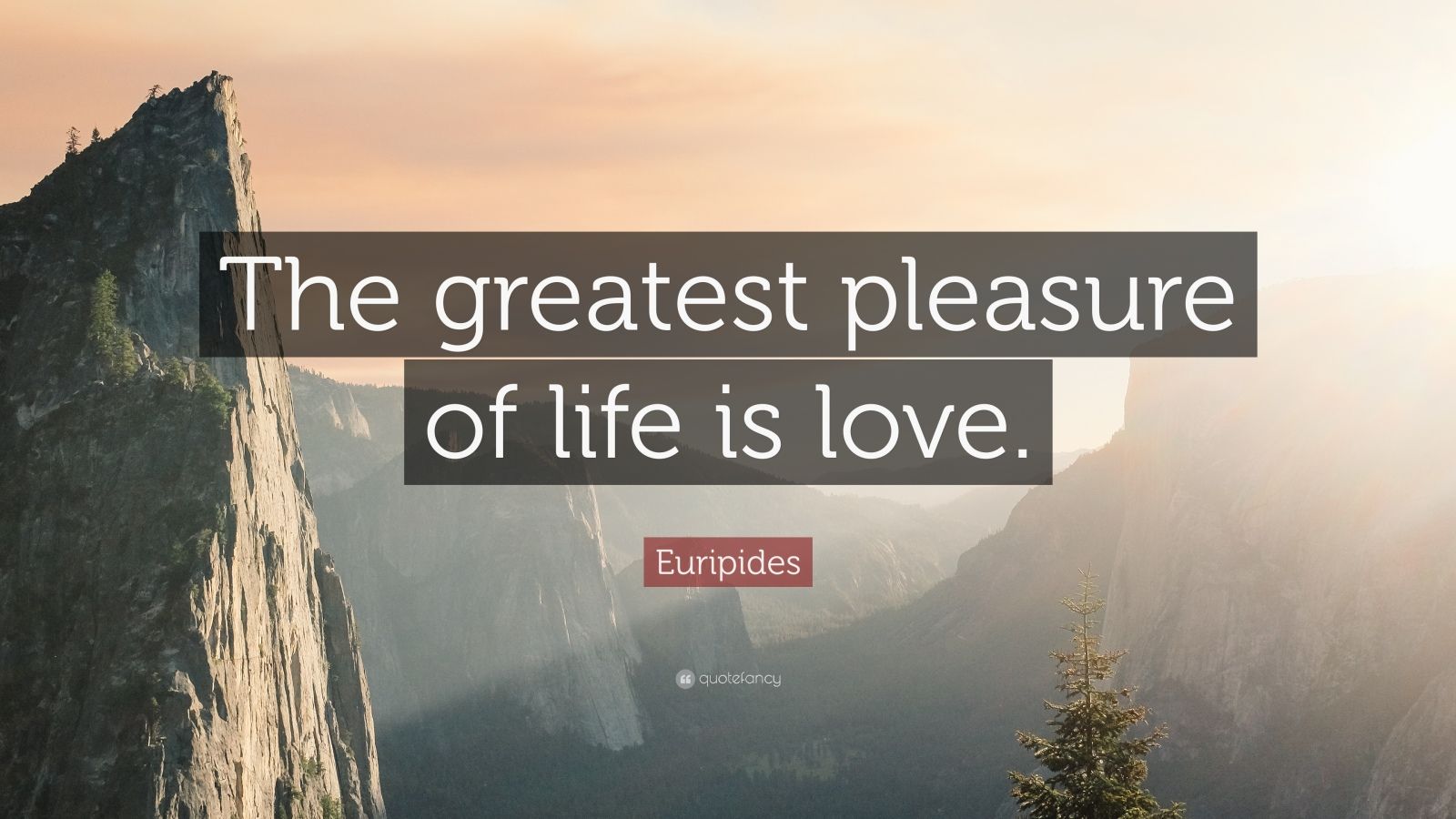 Pleasure Of Life Quotes