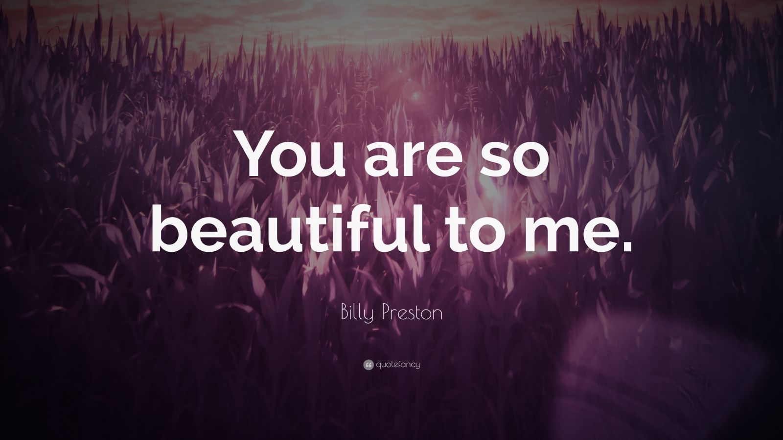 Billy Preston Quote “you Are So Beautiful To Me ”