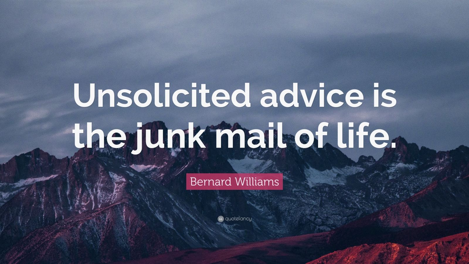 bernard-williams-quote-unsolicited-advice-is-the-junk-mail-of-life