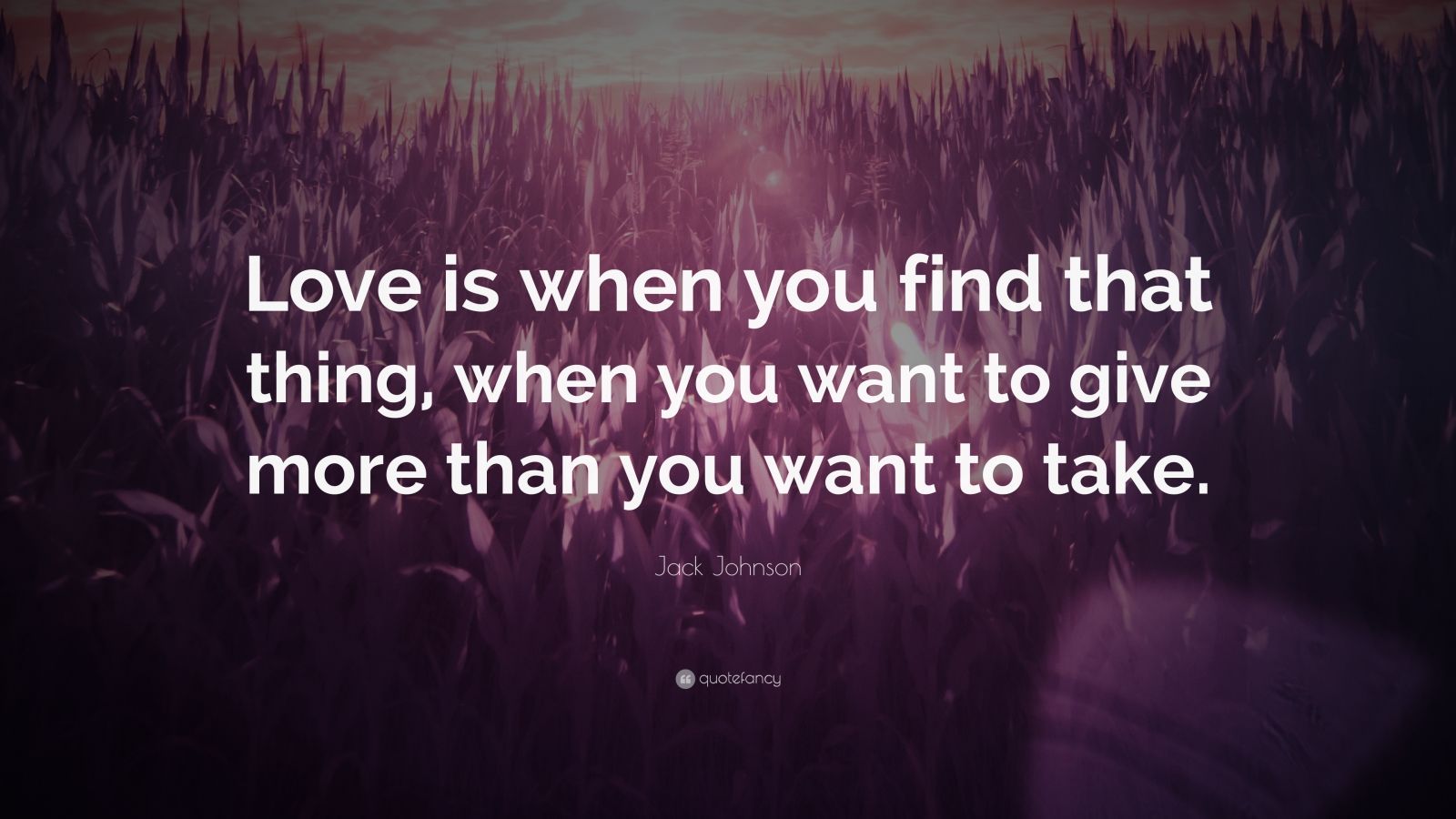 Jack Johnson Quote: “Love is when you find that thing, when you want to ...