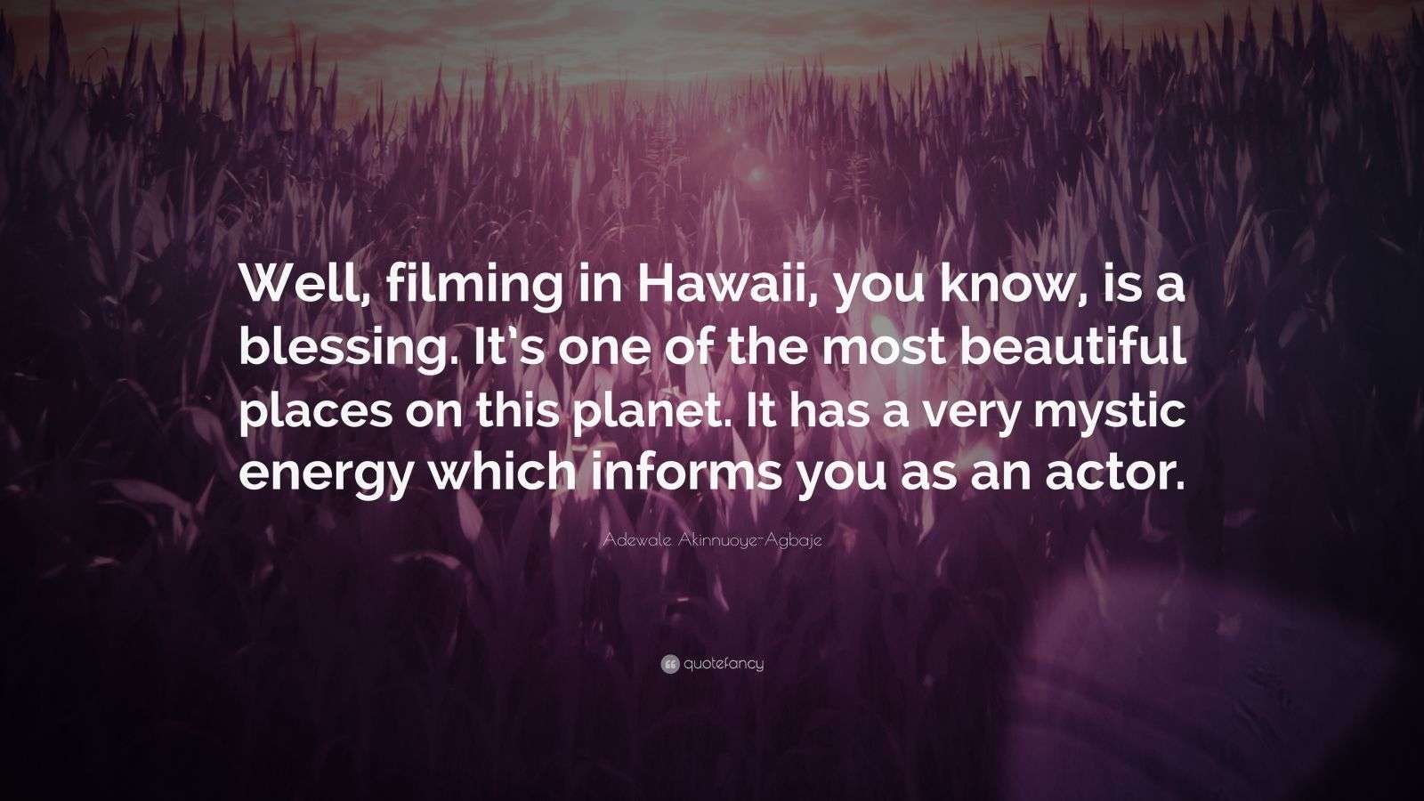Adewale Akinnuoye-Agbaje Quote: “Well, filming in Hawaii, you know, is