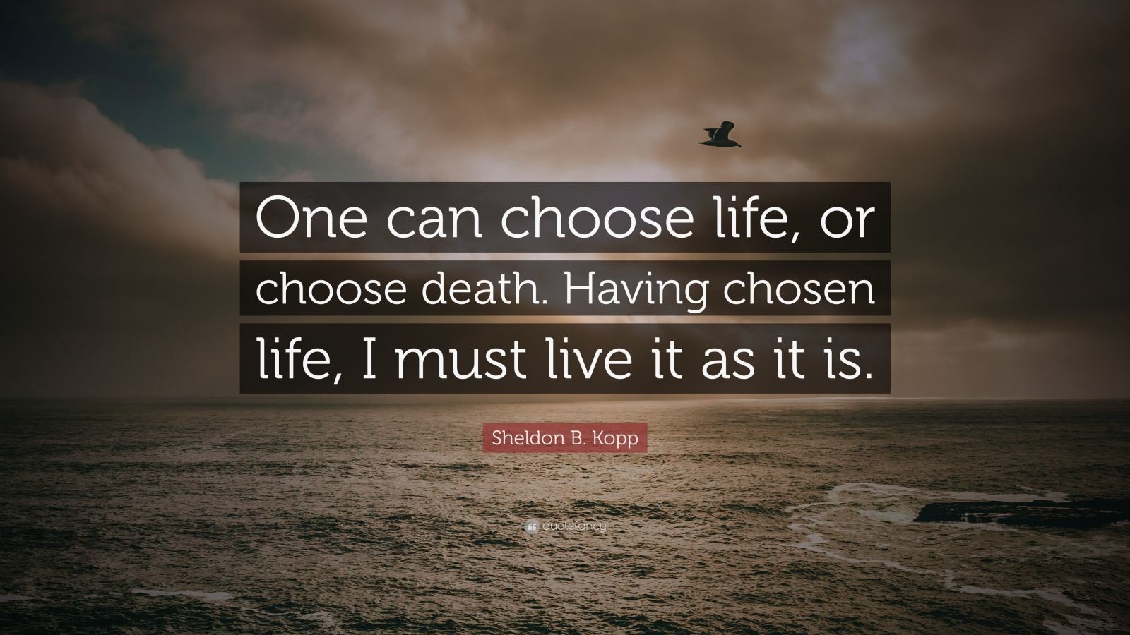 Sheldon B. Kopp Quote: “One can choose life, or choose death. Having ...