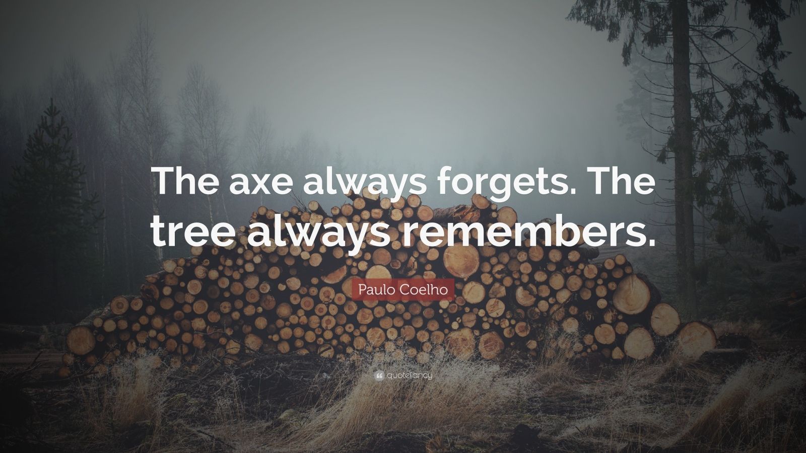 Paulo Coelho Quote “The axe always The tree always remembers
