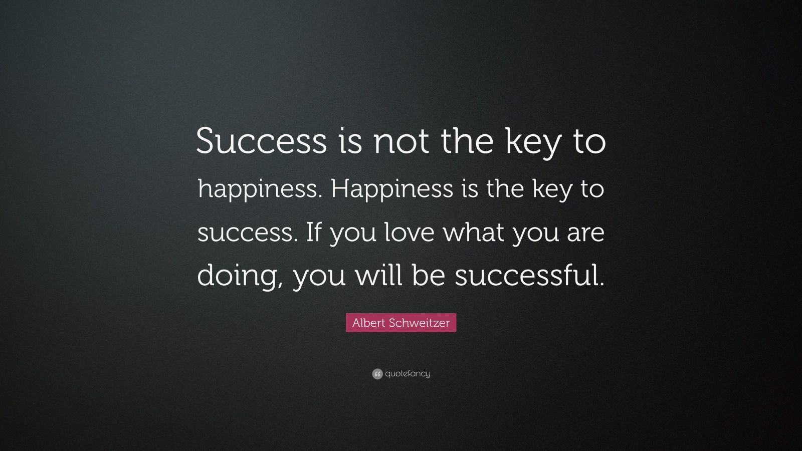31889-Albert-Schweitzer-Quote-Success-is-not-the-key-to-happiness.jpg