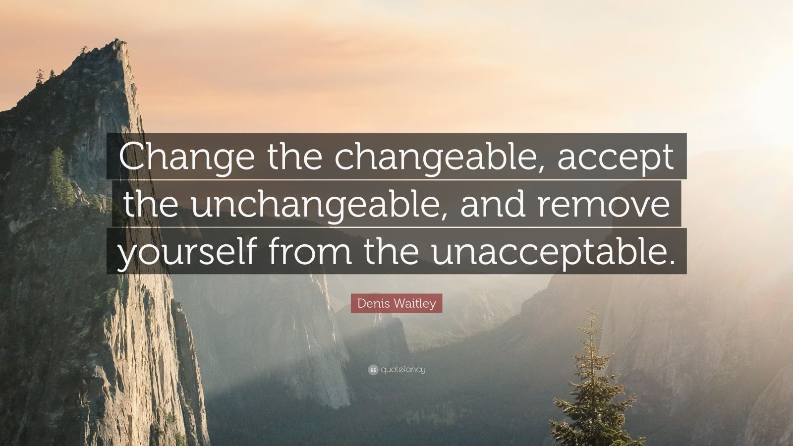 Denis Waitley Quote: “Change the changeable, accept the unchangeable ...