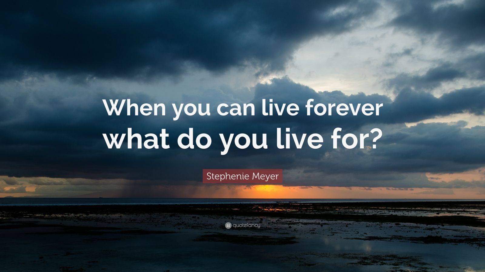 Stephenie Meyer Quote: “When you can live forever what do you live for?”
