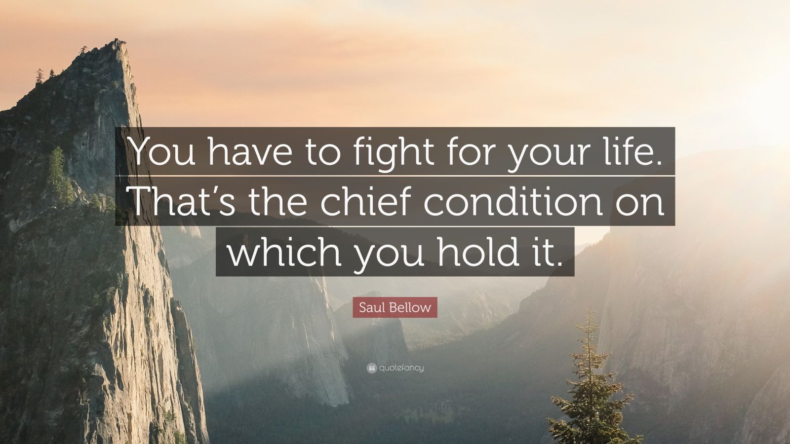 Saul Bellow Quote You have to fight for your life. That 