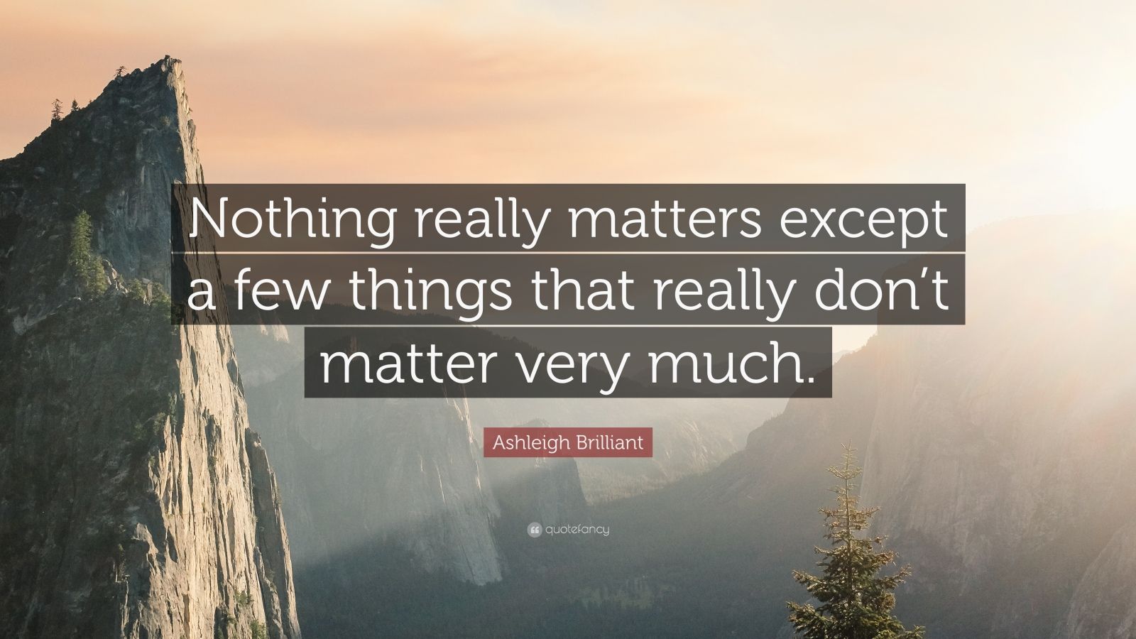Ashleigh Brilliant Quote “Nothing really matters except a few things